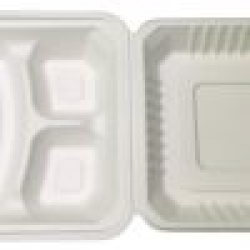 3CP MEAL BOX (Bagasse)