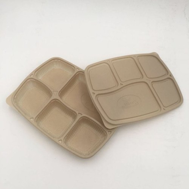 5CP meal tray (cornstarch)